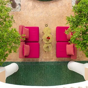 Akasia Marrakesh